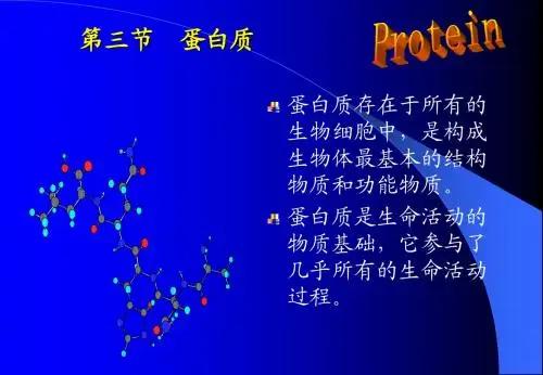 有机化学第十三章 蛋白质