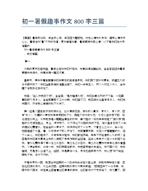 初一暑假趣事作文800字三篇