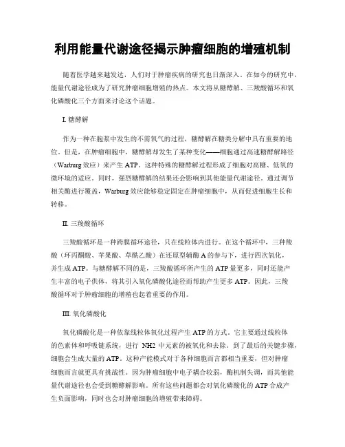 利用能量代谢途径揭示肿瘤细胞的增殖机制