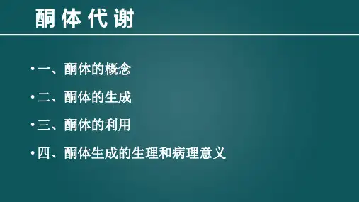 6.3 酮体代谢