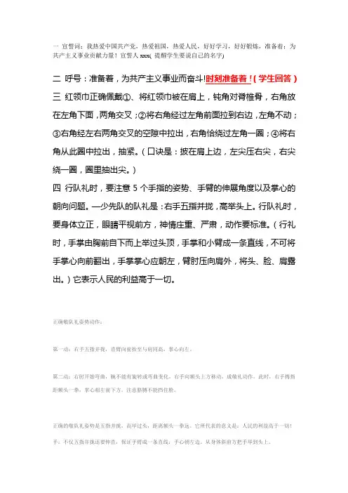 少先队誓词 呼号 红领巾佩戴 敬礼手势