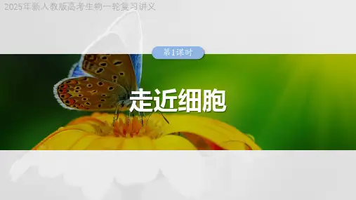 2025年新人教版高考生物一轮复习讲义  第一单元 第1课时 走近细胞