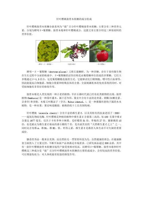 针叶樱桃接骨木软糖的成分组成
