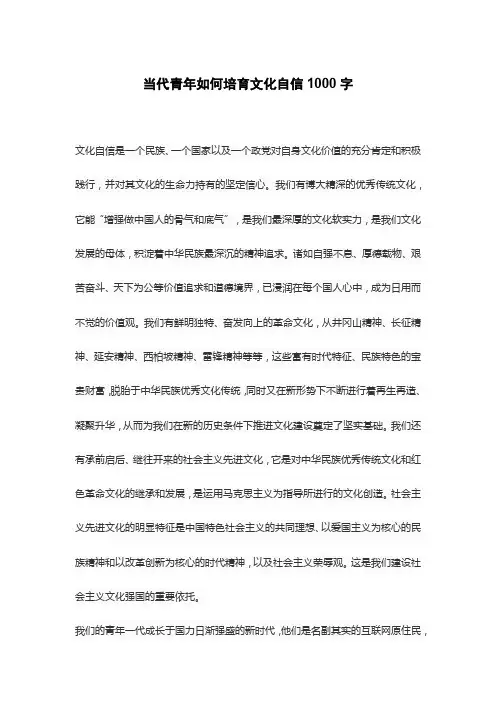 当代青年如何培育文化自信1000字