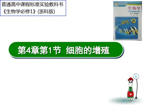 优质课高中生物浙科版必修一 第4章 第1节 细胞的增殖 课件 (共21张PPT)