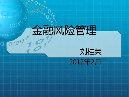 《金融风险的度量》PPT课件
