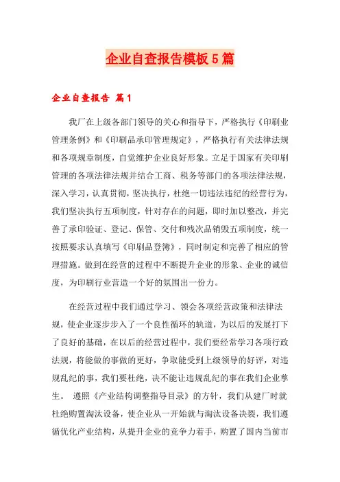 企业自查报告模板5篇