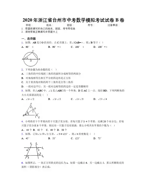 2020年浙江省台州市中考数学模拟考试试卷B卷附解析
