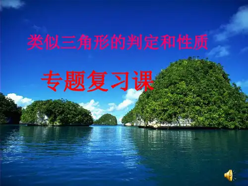 华东师大版九年级数学上册第23章相似三角形的判定和性质复习课件