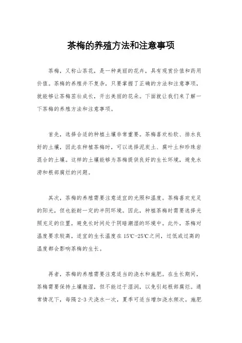 茶梅的养殖方法和注意事项