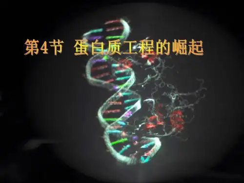 蛋白质工程(上课)