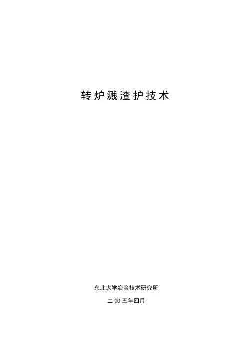 转炉溅渣护炉技术