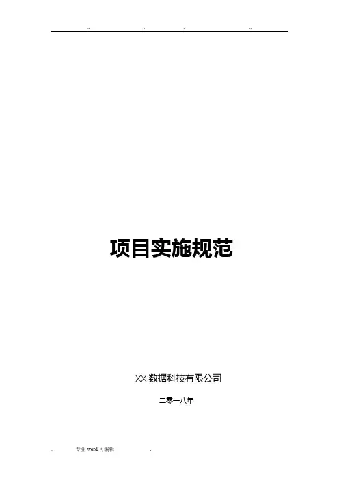 项目实施流程规范标准