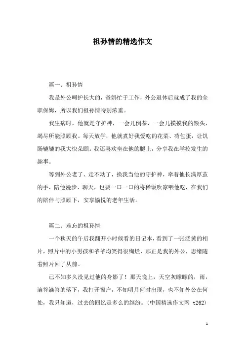 祖孙情的精选作文