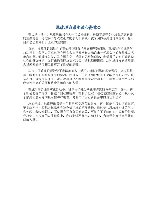 思政理论课实践心得体会