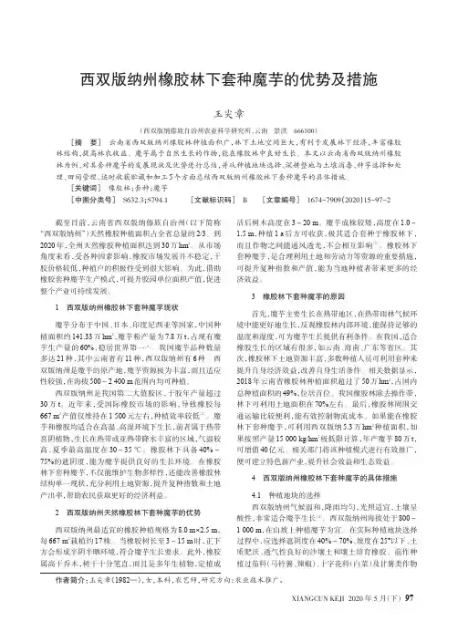 西双版纳州橡胶林下套种魔芋的优势及措施