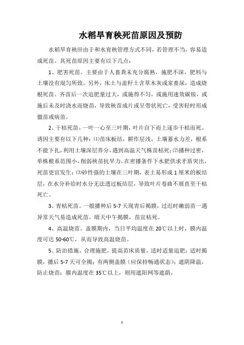 水稻旱育秧死苗原因及预防
