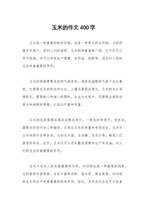 玉米的作文400字