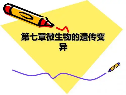微生物学：第七章微生物的遗传和变异