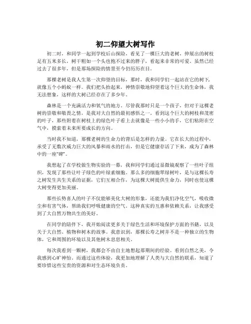 初二仰望大树写作