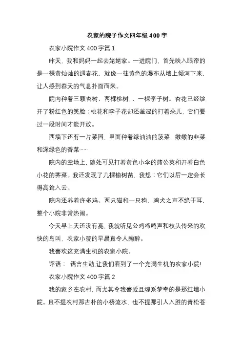 农家的院子作文四年级400字