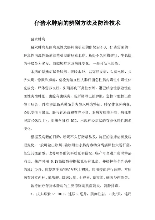 仔猪水肿病辨别方法及防治技术