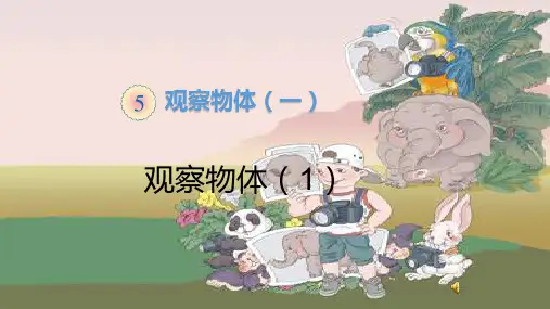 二年级数学上册观察物体(一)课件