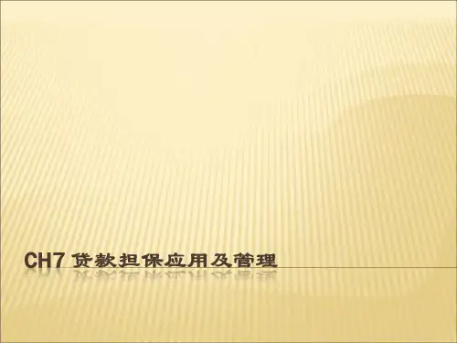 第7章贷款担保应用及管理