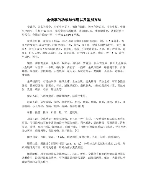 金钱草的功效与作用以及鉴别方法