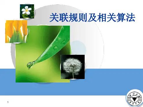 关联规则及相关算法讲解幻灯片