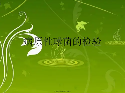 病原性球菌的检验