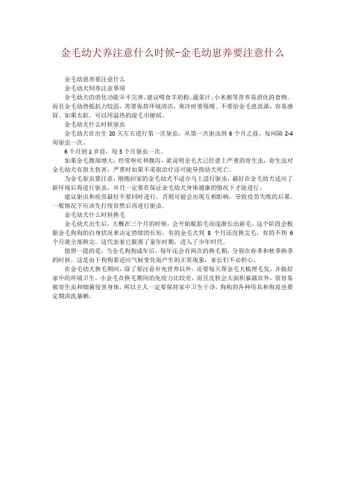 金毛幼犬养注意什么时候-金毛幼崽养要注意什么