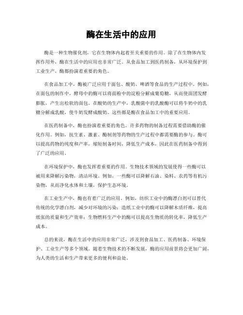 酶在生活中的应用