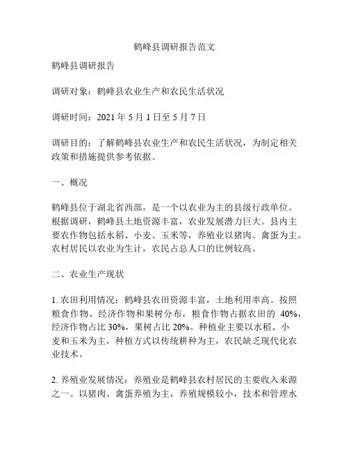 鹤峰县调研报告范文