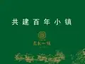小镇社群：聚龙小镇整体规划、文化、困境与未来发展