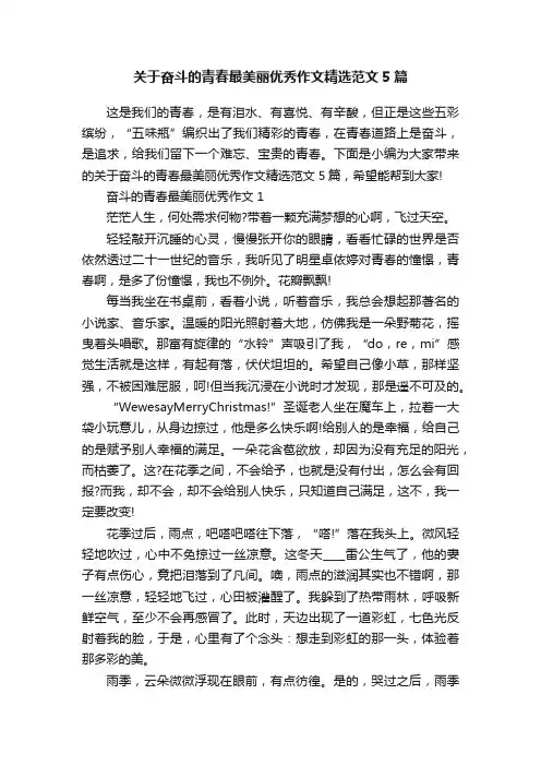 关于奋斗的青春最美丽优秀作文精选范文5篇