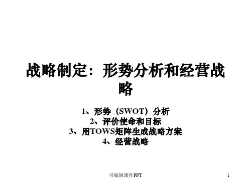 企业战略分析ppt课件