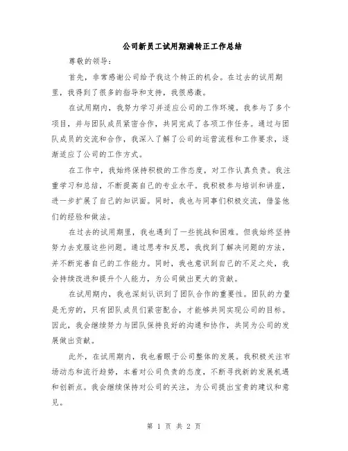 公司新员工试用期满转正工作总结