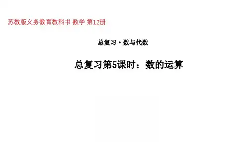 【精品课件】六年级下册数学课件-第七单元总复习·数与代数第5课时数的运算-苏教版