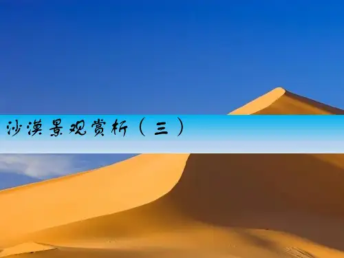 沙漠景观赏析—第三讲