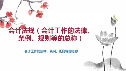 会计法规(会计工作的法律、条例、规则等的总称)