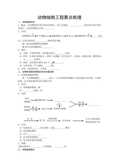 动物细胞工程知识整理