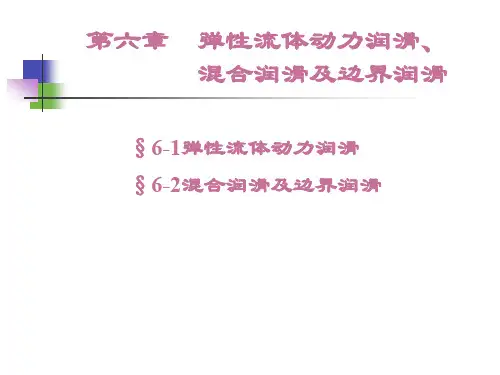 6章弹性流体动力润滑2