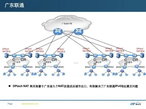 迪普科技大容量 NAT案例