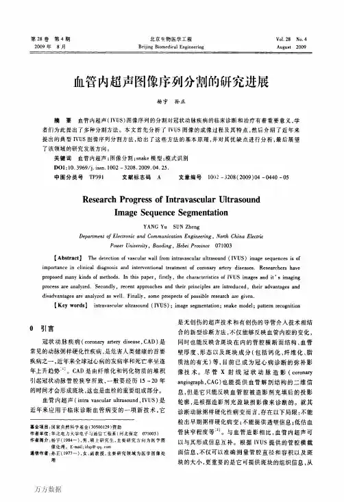 血管内超声图像序列分割的研究进展