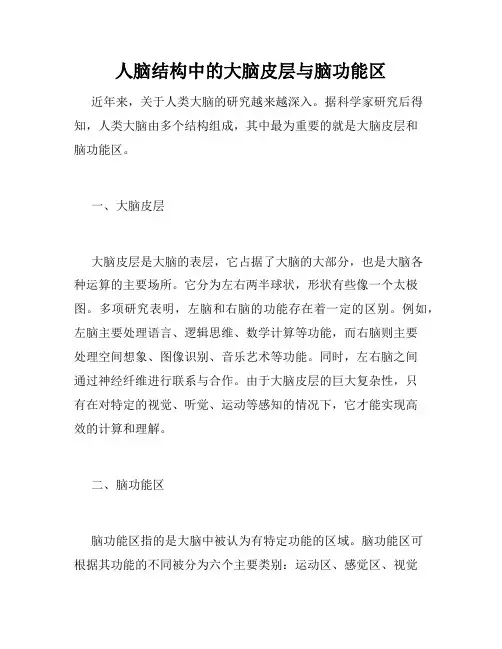 人脑结构中的大脑皮层与脑功能区