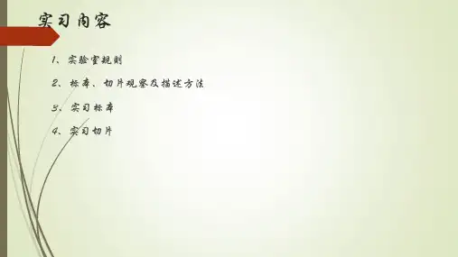 病理学实习：标本、切片观察及描述方法