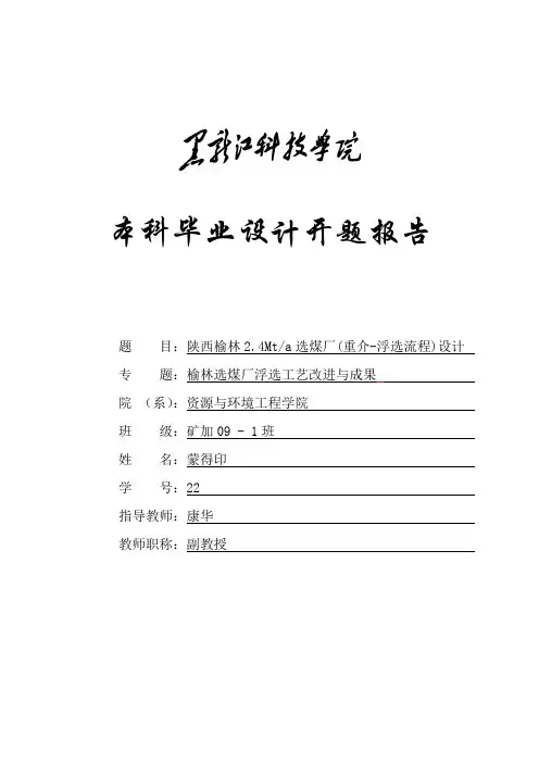 开题报告-呜呜呜