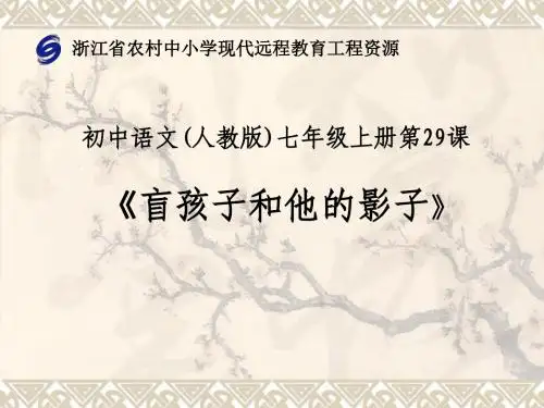 《盲孩子和他的影子》课件