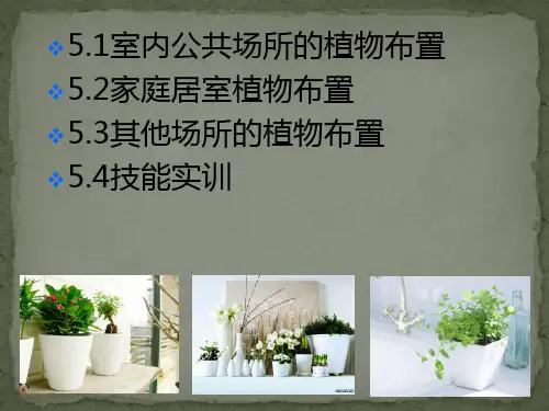 室内植物装饰设计五